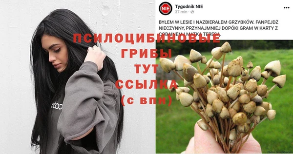 трава Шали