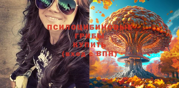 spice Верхний Тагил