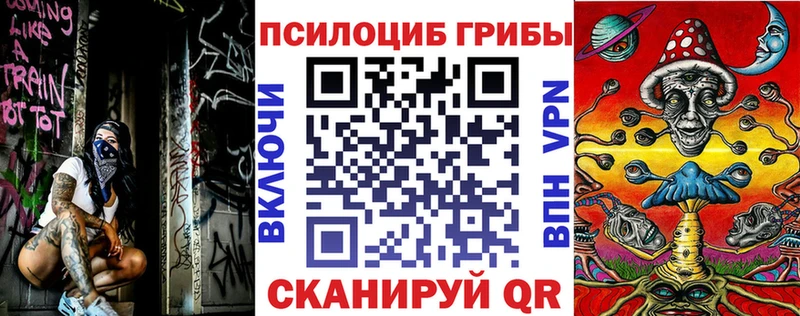 Купить  Чишмы  Псилоцибиновые грибы Psilocybine cubensis 